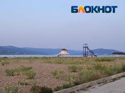 «Что творится с нашим Новороссийском?», - жительницу возмутила неухоженность Суджукской косы 