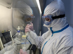 Жители Новороссийска продолжают болеть COVID-19