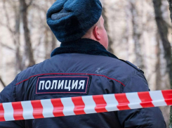 В ст. Раевской под Новороссийском эвакуировали детей из школы