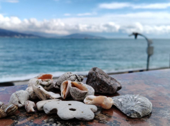 Гороскоп от Блокнота: Близнецам не стоит распыляться на мелочи, а Девам – не торопиться с выводами 