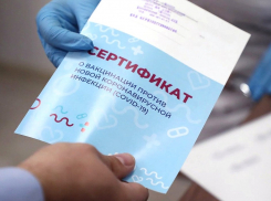 Новороссийцы могут получить QR-код при наличии антител к коронавирусу