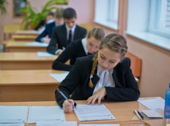 Когда Новороссийские школьники будут сдавать ЕГЭ и ОГЭ?