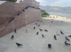 «Уничтожается наследие Синяговского», - жительница Новороссийска о набережной