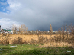 Погода в Новороссийске: температура немного снизится, но все еще тепло