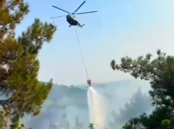 Лишились еще 12,5 гектар леса в Краснодарском крае – локализован пожар в лесничестве