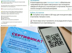 Введут ли QR-коды для посещения общественных мест в Новороссийске: официальная информация