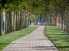 Погода в Новороссийске: +35 и ветрено