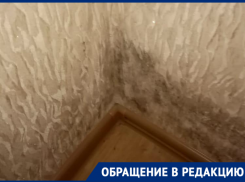 «Нам неинтересно»: как УК «Оперативность» реагирует на жалобы новороссийцев 