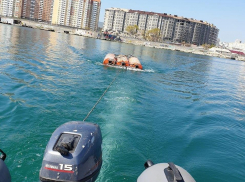 Причалы, понтоны – море в Новороссийске делится своими сокровищами