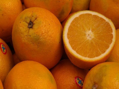 Зараженные апельсины остановили в порту Новороссийска: какую опасность нашел Россельхознадзор