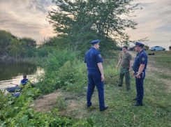 +18 На Кубани убили 12-летнюю девочку: вмешался Бастрыкин 