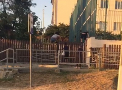 «Нападают толпой»: мигранты «кошмарят» детей в Новороссийске 