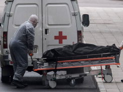 Восемь смертей за сутки: в больницах Кубани продолжают гибнуть люди 