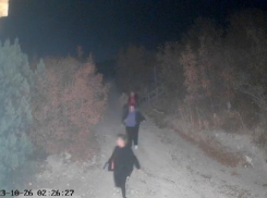 Что нашли, то наше: в кемпинге под Новороссийском отдыхающие нагуляли на статью