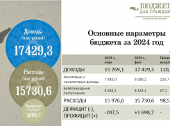 Профицит бюджета: на что Новороссийск потратил больше всего денег в 2024 году