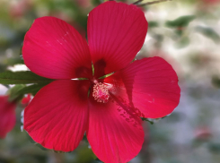 Гороскоп от «Блокнота»: Козерогам пришло время отдохнуть, а Львы будут удивлять