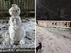 В Новороссийске выпал первый снег: фото от жителей и прогноз на неделю 