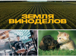 Уникальный кинопоказ в Абрау, концерт в парке Ленина: чем заняться новороссийцам в это воскресенье 