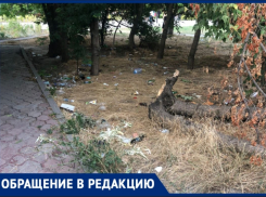 «Центрее некуда»: около популярного сквера в Новороссийске развернулась настоящая свалка