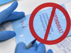 И не отличишь: фейковые сертификаты о вакцинации «разлетаются» в Новороссийске 