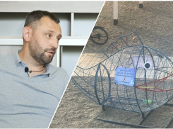 Рыбы-контейнеры на пляжах Новороссийска: «Блокнот» узнал все подробности