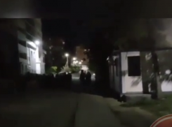 В причинах массовой драки строителей разбирается полиция Новороссийска 