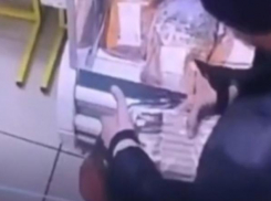 Камеры новороссийского магазина засняли двух наглых воришек