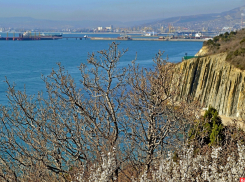 В Новороссийске пасмурно, но ветра нет