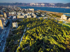 Ручей в Пионерской роще: есть или нет? – Ответ Министерства водных ресурсов