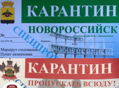 Стало известно, как новороссийцам получить пропуска на передвижение по городу 