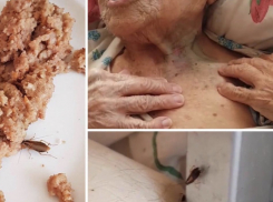 В новороссийском доме престарелых начали борьбу с тараканами 