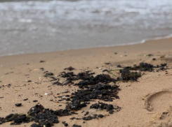 Мазут снова выбросило на берега Анапы: к Черному морю прибыла большая колонна спецтехники от МЧС