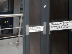 «Поймаю и заставлю убирать»: новороссиец в ласковой форме призвал сограждан не гадить 