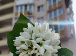 Скучно не будет: куда сходить на 8 марта в Новороссийске