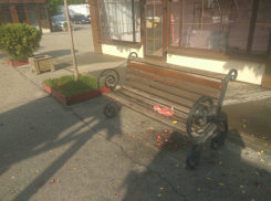Недоеденную «расчленёнку» обнаружили на детской площадке в Новороссийске