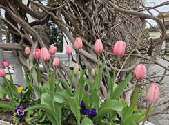 Гороскоп от «Блокнота»: близнецам нужно принять реальность, а львам выйти из зоны комфорта 