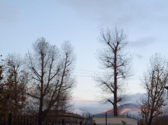 Погода в Новороссийске: усилился северный ветер и похолодало