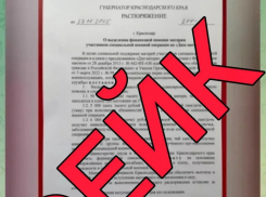 На Кубани запустили циничный фейк ко Дню матери 