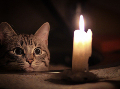 Где в Новороссийске выключат свет в эту пятницу 