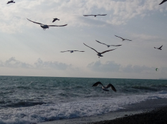 Зеленский* не держит слово: в России сбили 107 украинских БПЛА 