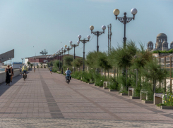 Погода в Новороссийске: жара и ветер - все по-старому