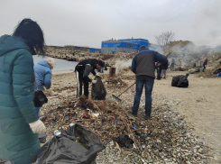 Мусорные горы: на Волочаевском пляже Новороссийска наведут порядок 