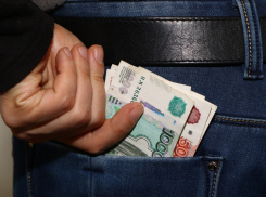 Новороссиец обчистил соседскую квартиру, присматривая за питомцами 