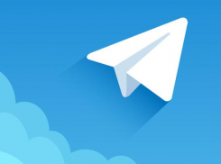 Новороссийцы тоже пользуются: ежедневно в Telegram регистрируется 2,5 млн человек