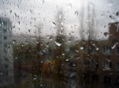 Лучшее время для просмотра фильмов: весь день в Новороссийске будет лить дождь