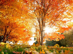 Солнечная погода продолжает радовать новороссийцев