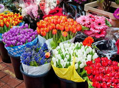 Праздник цветов: куда пойти за букетом в Новороссийске к 8 марта