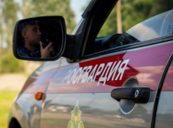 В Новороссийске Росгвардия пресекла хулиганство пьяных мужчин в баре