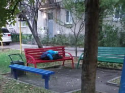 Живёт во дворе и ночует на лавке: новороссийцы не знают, что делать с бездомной