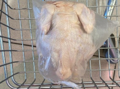 Запасаемся курятиной: мясо птицы резко вырастет в цене